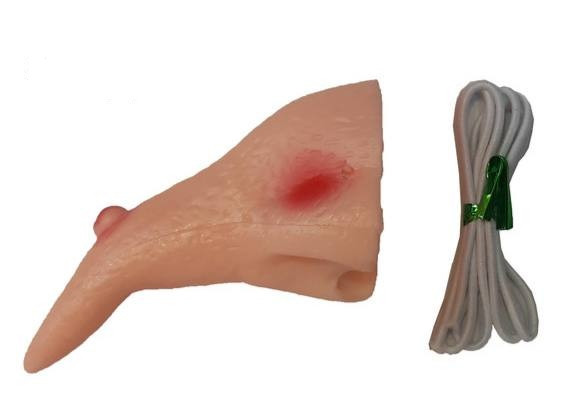 دماغ جادوگر سیلیکونی